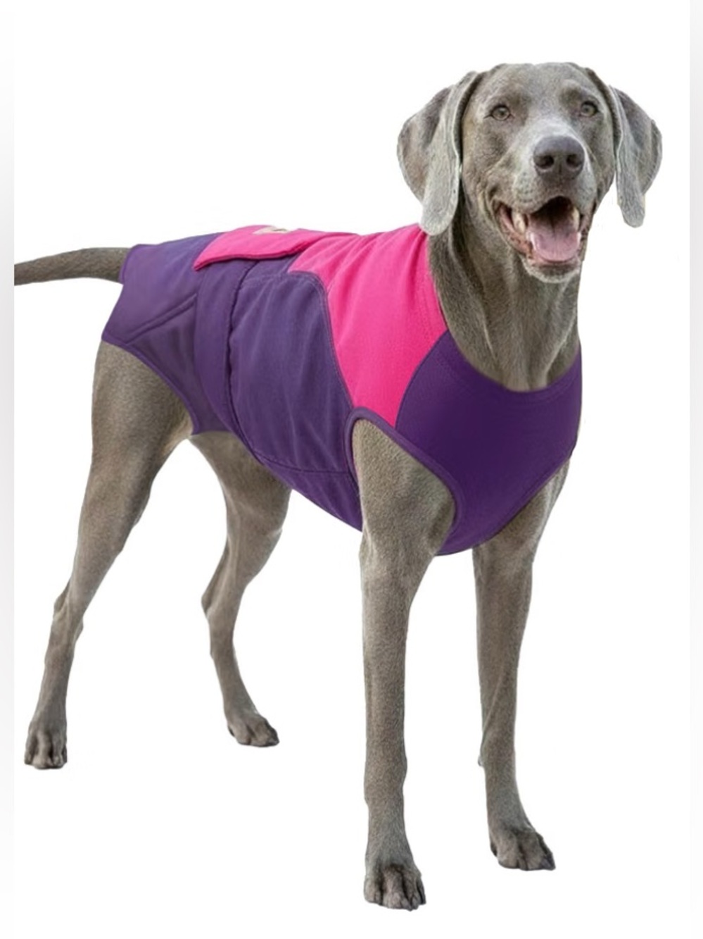 NWT Doggy Surgical Suit
